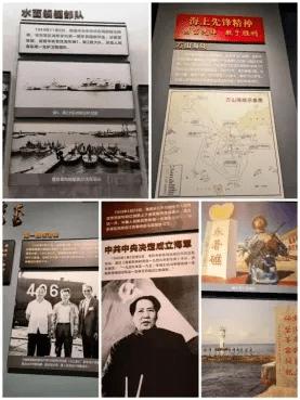 变异动物之战